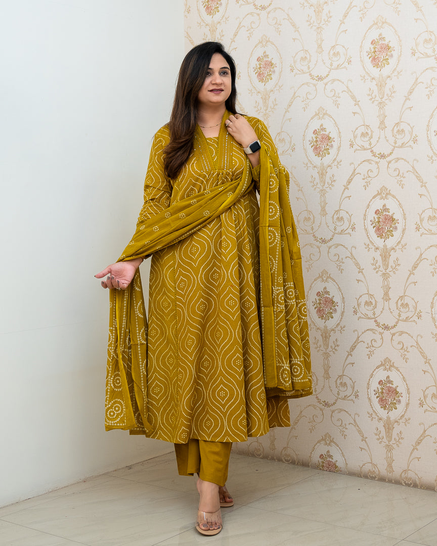 ‘Heena’ Cotton A-line Embroidered Divider Set - The Jaipur Studio