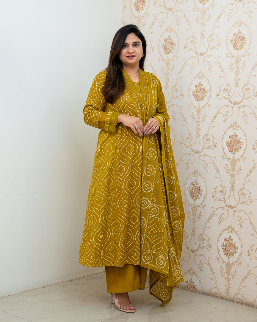 ‘Heena’ Cotton A-line Embroidered Divider Set - The Jaipur Studio