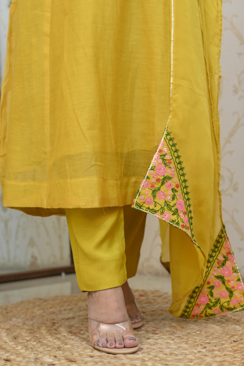 Flared Chanderi Embroidered Pant Set - The Jaipur Studio
