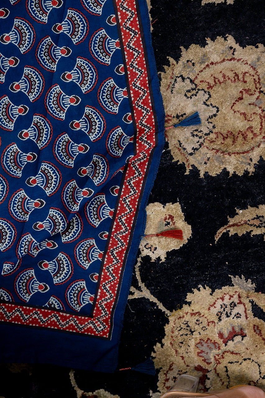 Noor Cotton Embroidered Pant Set - The Jaipur Studio