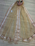 Beautiful Tissue Dupatta With Mirror Work